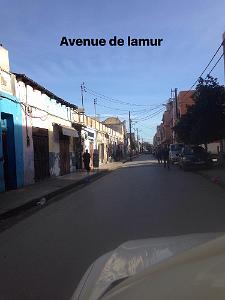 ORAN - AVENUE DE LAMUR